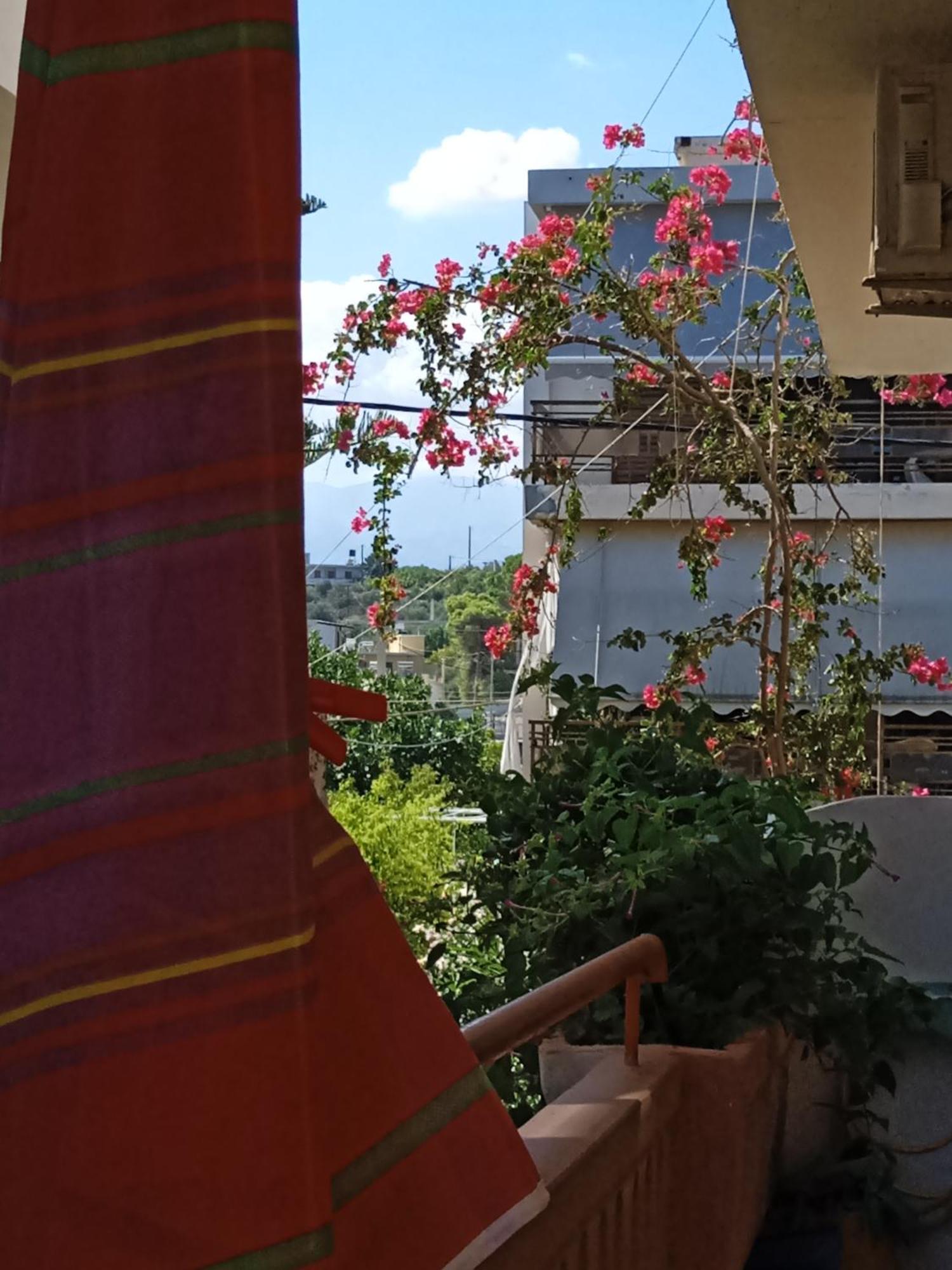 Ilona Apartments Chania Kato Daratso Ruang foto