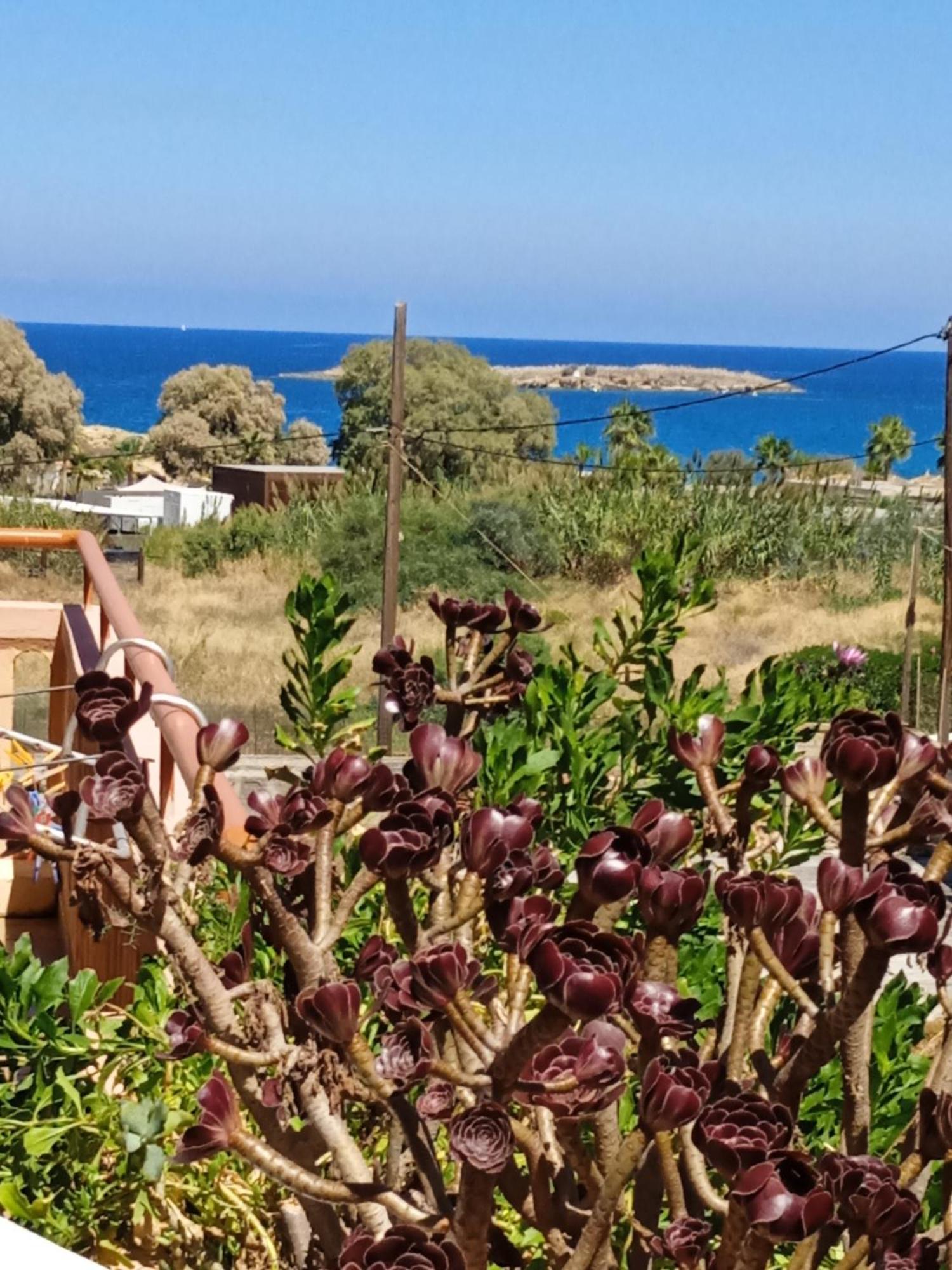 Ilona Apartments Chania Kato Daratso Ruang foto