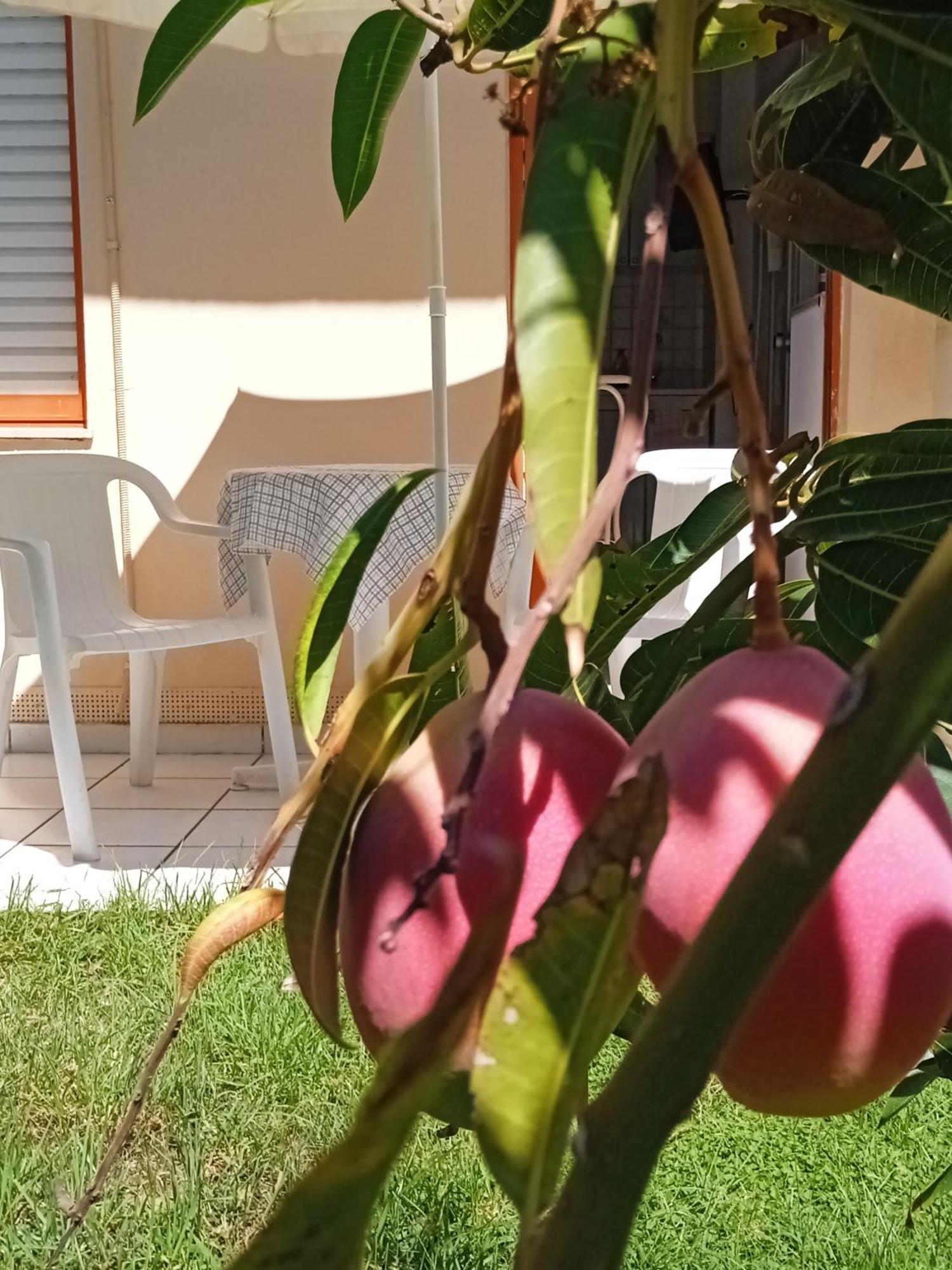 Ilona Apartments Chania Kato Daratso Ruang foto
