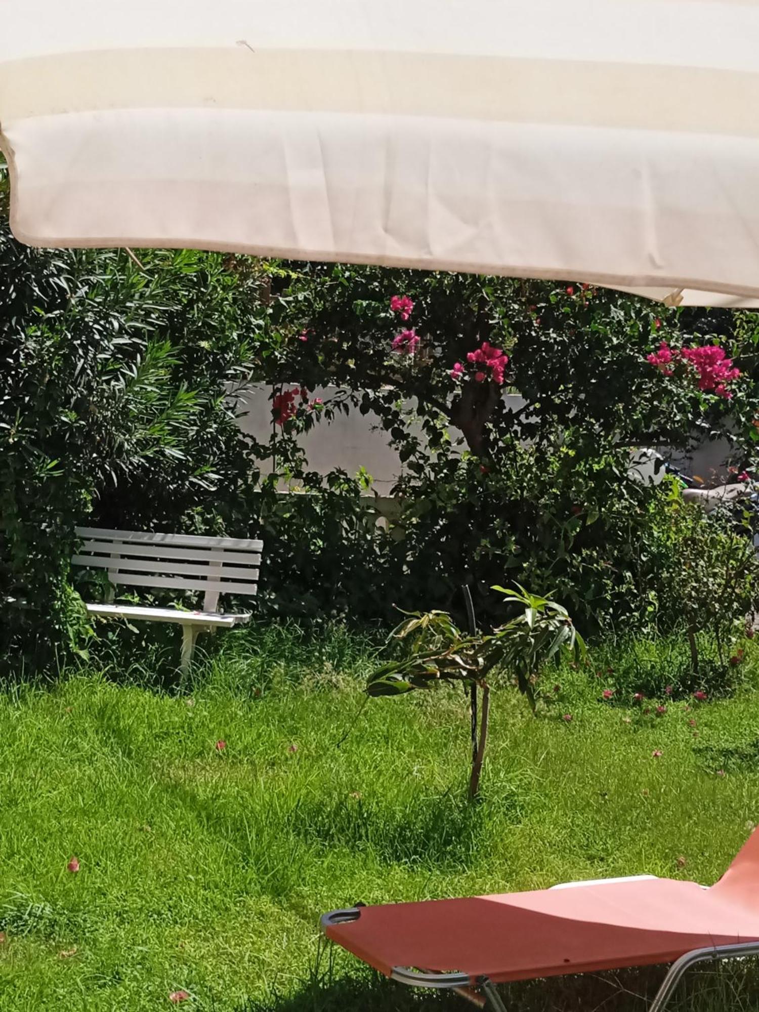 Ilona Apartments Chania Kato Daratso Ruang foto