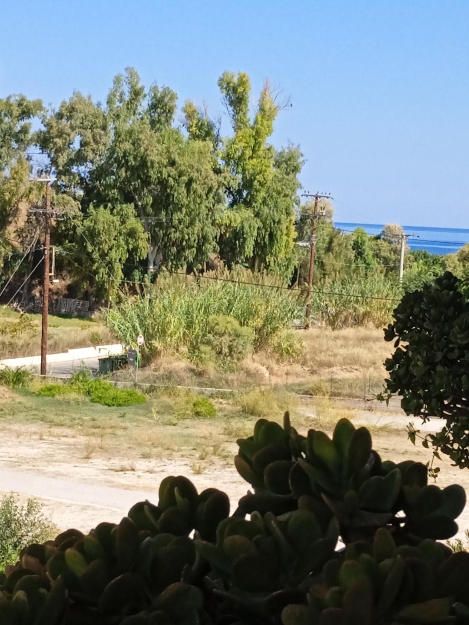 Ilona Apartments Chania Kato Daratso Ruang foto