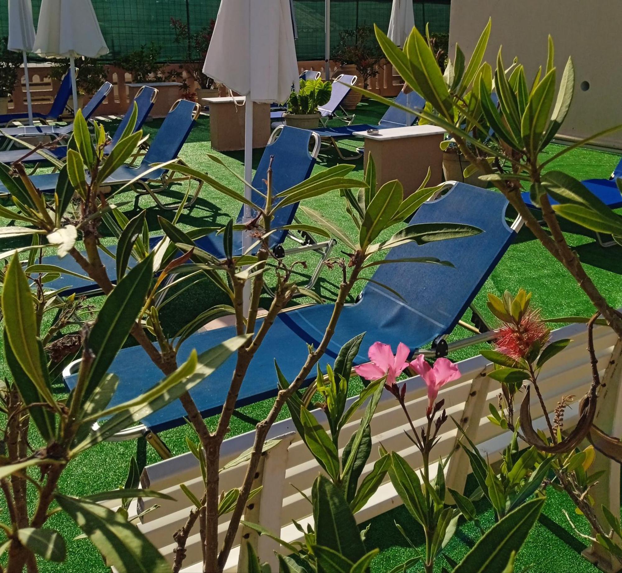 Ilona Apartments Chania Kato Daratso Ruang foto